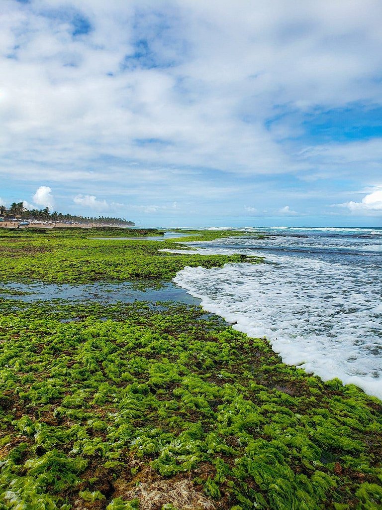 V703 - VISTA de Cinema, Piscina Borda Infinita, Beira Mar