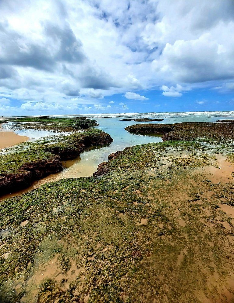 V703 - VISTA de Cinema, Piscina Borda Infinita, Beira Mar
